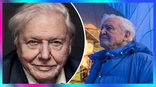 David Attenborough issues huge announcement after sad 'end of life' confession