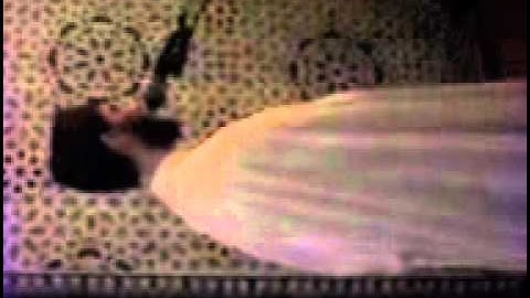 تراويح القارئ محمد يوسف الهبطي بالدار البيضاء 2012