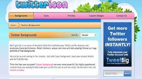 Twitter Tutorial-How To Create A Professional Twitter Background In A Few Minutes