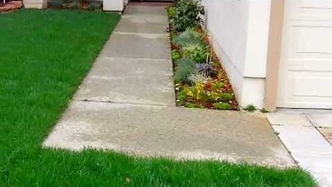 Subsurface Drip Irrigation for Grass...Works!!!