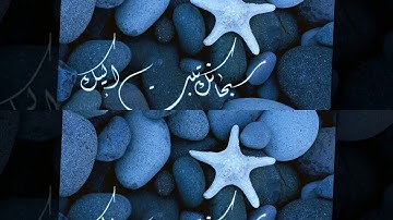 تلاوة حجازية رائعة سورة النمل الشيخ زكي داغستاني www.qoranet.net