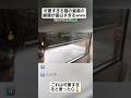 可愛すぎる猫の最高の瞬間が面白すぎるww#shorts#tiktok#おすすめ#猫#動物#おもしろ