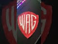 Warner Bros Pictures Warner Animation Group Logo Concept 2023 