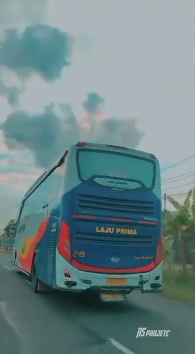 story wa bus laju prima 249 Insomia