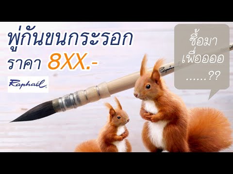 unbox พู่กันแพงๆ...พู่กันไม่แพง ไม่มีแรงรีวิว ( พู่กันมัดลวด ขนกระรอก ราฟาเอล ) - Raphael mob brush