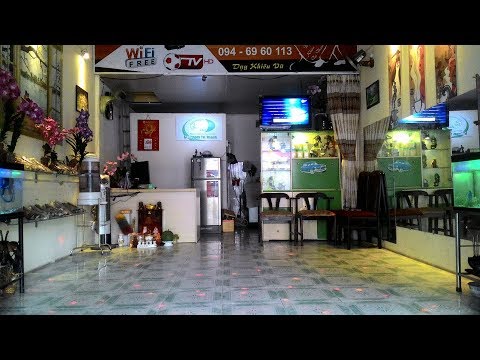 Music Cha Cha Cha 14  hay nhất. Best Ballroom Trí Thanh - Clock - Sunshine Day