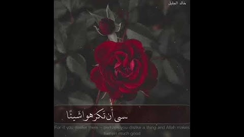 القران الكريم بصوت الشيخ خالد الجليل تلاوه خاشعه اكتب شيا توجر عليه في الدنياء و الاخره لعلك تجد