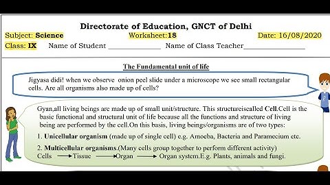 Science worksheet 18 class-9 (16/8/21) English medium/worksheet 18 science class9/class9 science