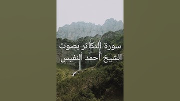 سورة التكاثر بصوت الشيخ أحمد النفيس #قران_كريم #اكسبلور #تلاوة_خاشعة #اذكار #لايك #راحة_نفسية #ترند
