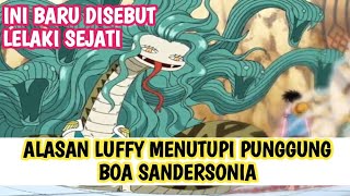 ALASAN LUFFY MENUTUPI PUNGGUNG BOA SANDERSONIA #onepiece