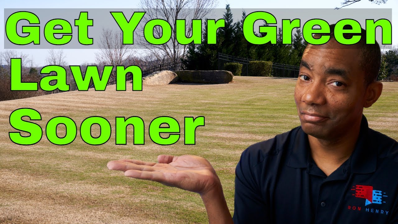 Spring Green Lawn Care Update - Liquid Fertilizer Results