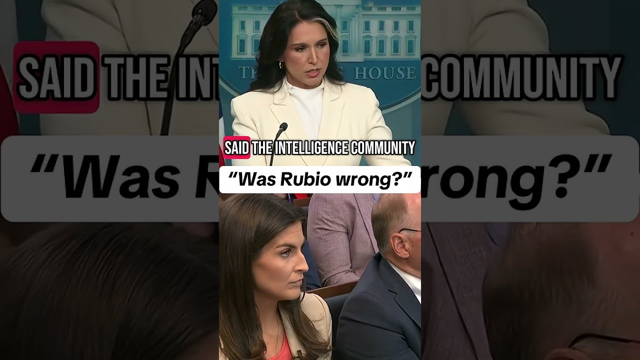 Kaitlan Collins Asks Tulsi Gabbard About Obama Report