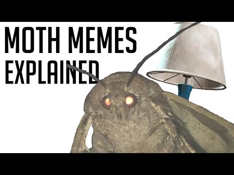 'moth'-memes-explained