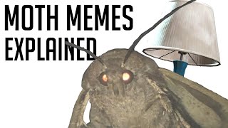 'Moth' Memes Explained