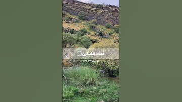 تلاوة ما تيسر من سورة آل عمران بصوت القارئ هيثم الدخين