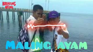 DJ Maling ayam | dj viral | dj tik tok terbaru 2020