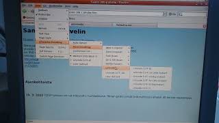 Character encoding menu from Mozilla Firefox 1.5.0.5