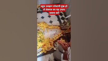 बहुत उलझन परेशानी दुख हो तो बेलपत्र का यह उपाय अवश्य करें#pradeepmishra #shiv #upay