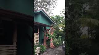 #950  - Lake Arenal Properties