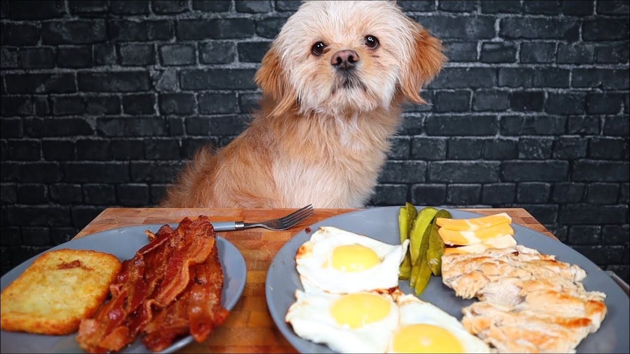 ASMR WITH MY DOG GEORGE