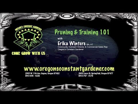 Oregon S Constant Gardener Pruning Training 101 Youtube