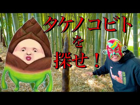 【こびとづかん】タケノコビトを探せ!