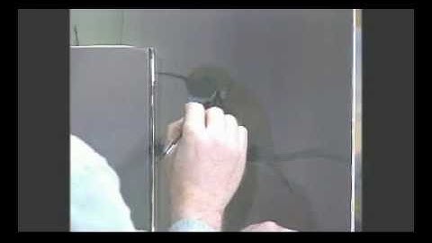 Learn techniques to paint bird feathers with Master Artist Jerry Yarnell