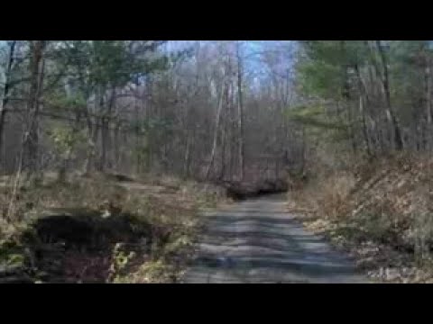 0 UPPER GREGG RD, Rotterdam, NY home video tour