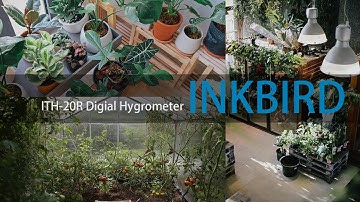 Unboxing INKBIRD ITH-20R Digital Hygrometer, used for #indoor, #homeliving, #greenhouse, #reptile