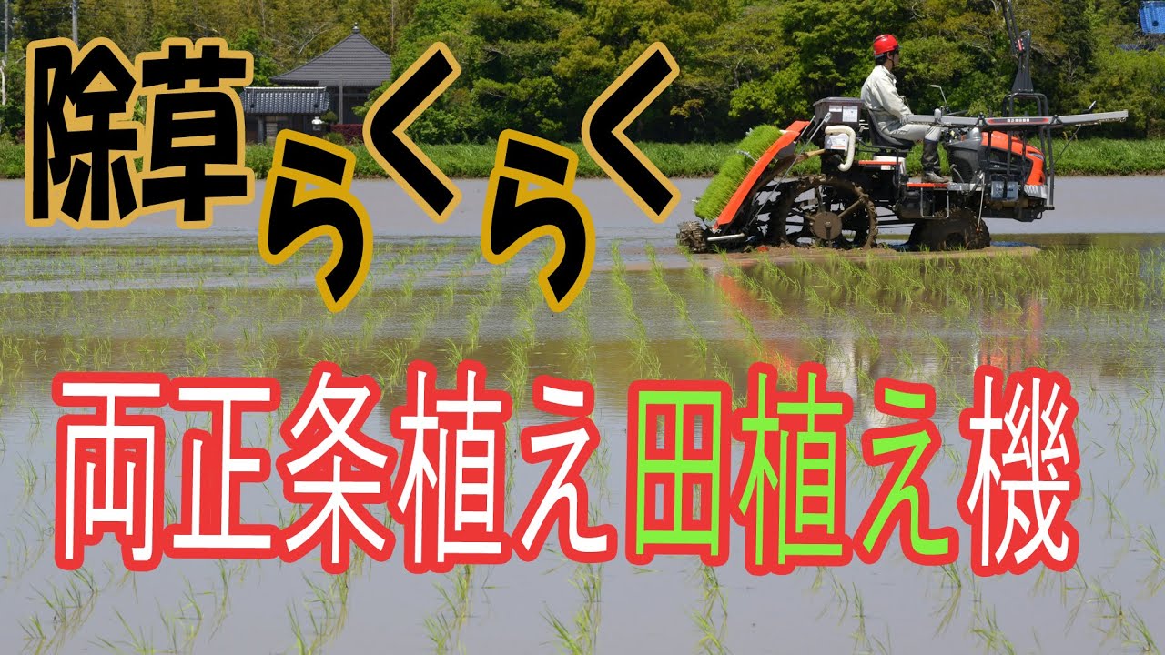 苗を碁盤の目に 両正条植えの田植え機 - YouTube
