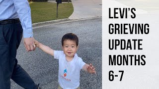Levi Korean Adoption Grieving Update Months 6-7