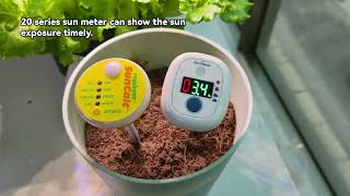 Luster Leaf 1875 SunCalc Test vs Auto-Logging Sun Meter | Daily Light Tracking Explained