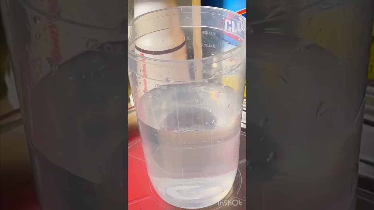 420 Fast Buds Strains