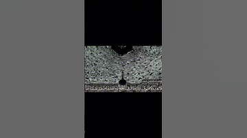آيات الحج😔تلاوة هادئه بصوت _ القاريء عبدالرحمن مسعد 🤍❤️