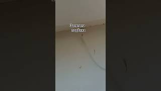 залетела подёнка в дом 😂🤣😅