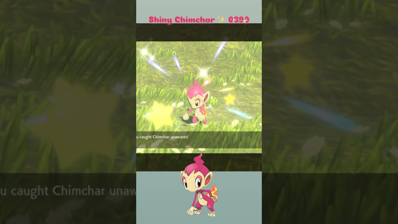 Shiny Chimchar ✨ 0390 caught in Pokemon Legends with Massive Mass Outbreak