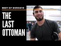 Best of monkeys ibo aslan the champ