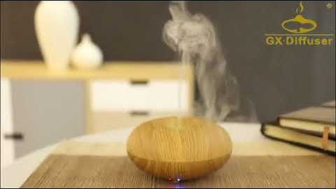 GX 150ml Diffuser