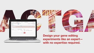 Introducing the Invitrogen TrueDesign Genome Editor