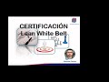 CERTIFICACION LEAN WHITE BELT CLASE#1