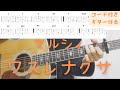 【ギターコード付き】マルシィ/ワスレナグサ【アコギ弾いてみた】