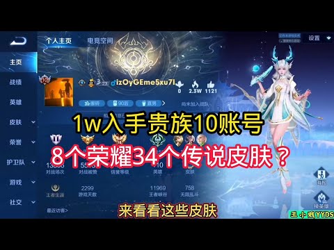 王小贱：1w新买的贵族十账号？376皮肤34传说8荣耀？这会贵吗？｜王者荣耀