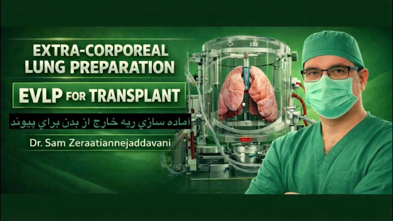 Extracorporeal Lung Perfusion (EVLP) Explained: Donor to Recipient ...