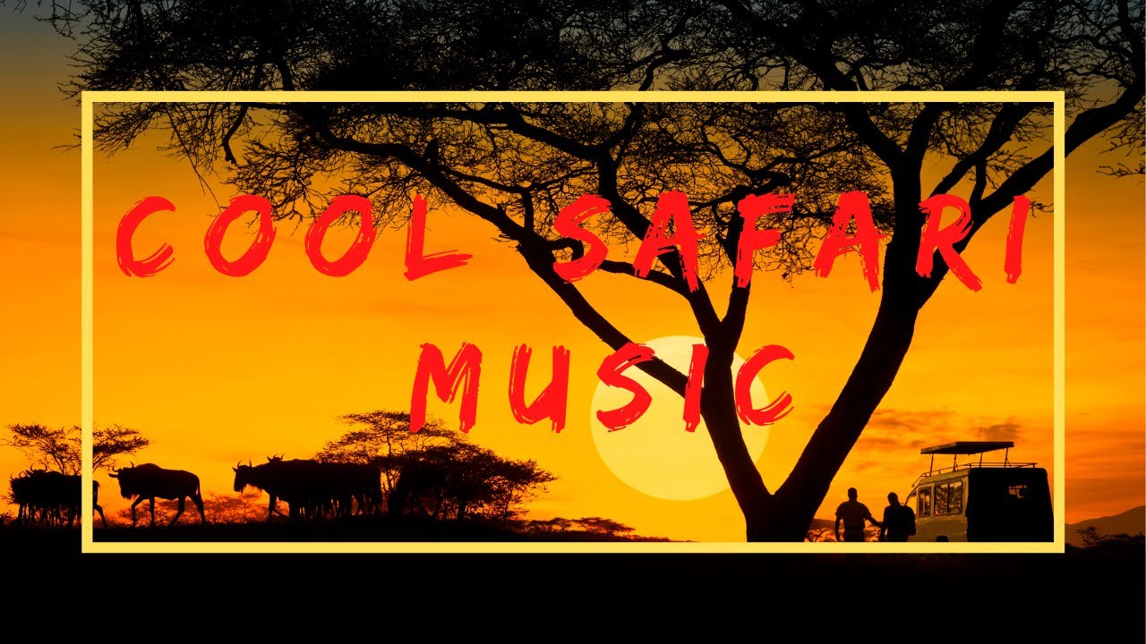 safari music africa