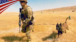 Live-Fire Exercise With Dogs