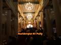 Durga Puja 2024 l Haridevpur 41 Pally | দূর্গা পূজা পরিক্রমা ২০২৪ |  Puja Parikrama 2024 #durgapuja