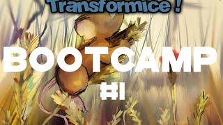 Transformice - Melonkolqw Bootcamp [2016]