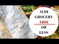 ALDI GROCERY HAUL | LESS THAN $100