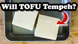 Will TOFU Tempeh? | Mary's Test Kitchen