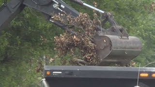 St. Landry Parish crews clean storm debris in Grand Prairie